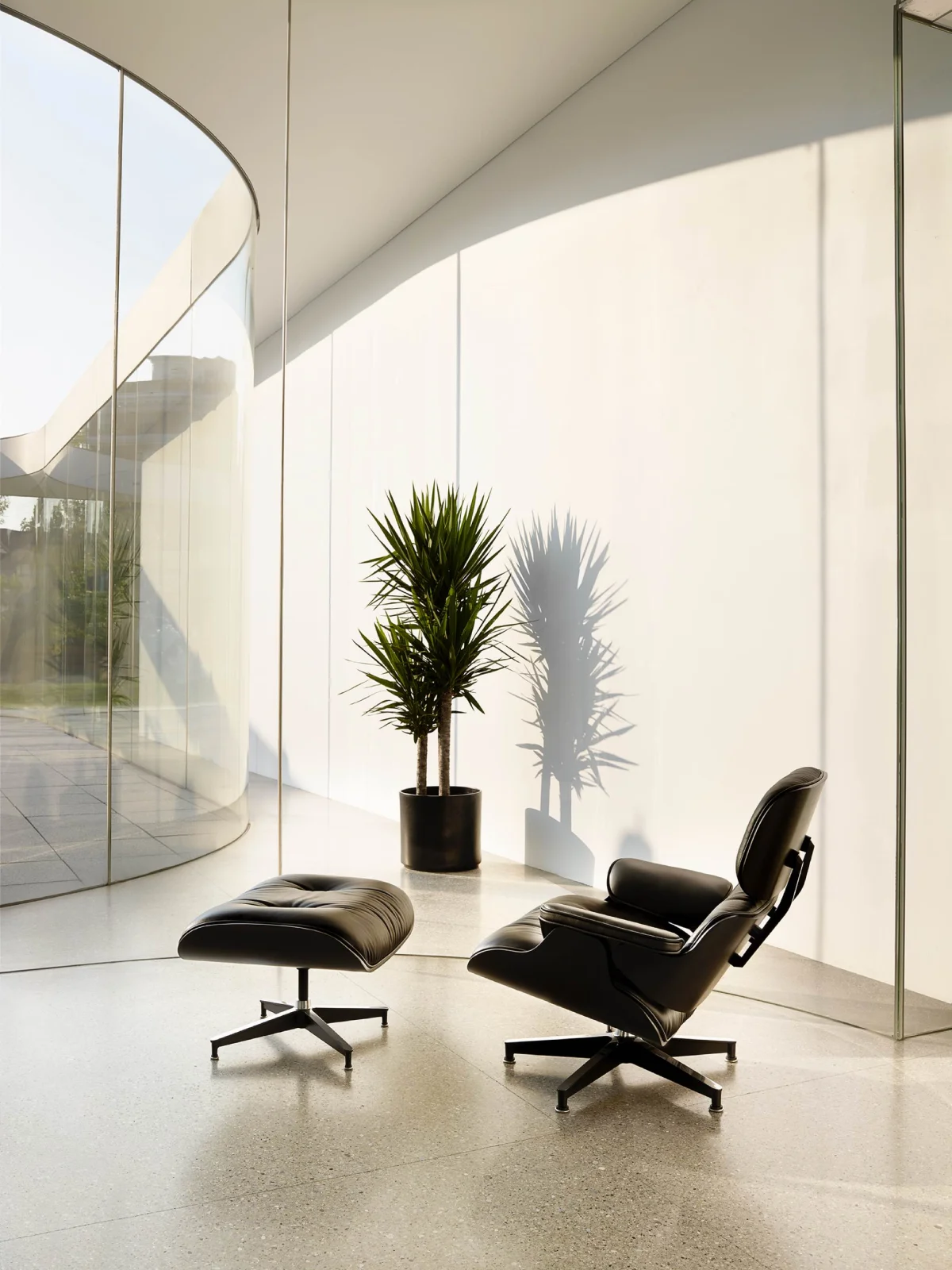 Eames Lounge Chair and Ottoman