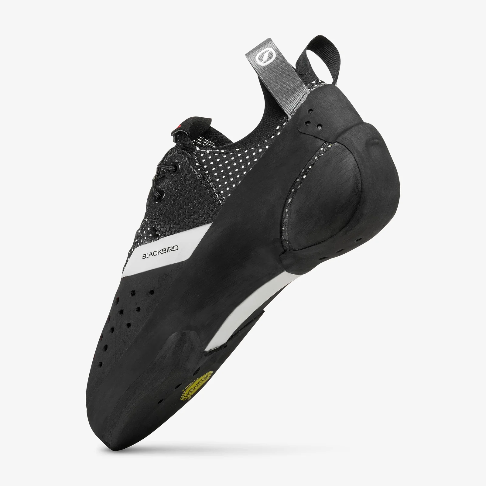 Scarpa Blackbird Climbing Shoes